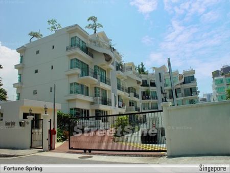 Fortune Spring (D15), Apartment - For Rent - Photo 3