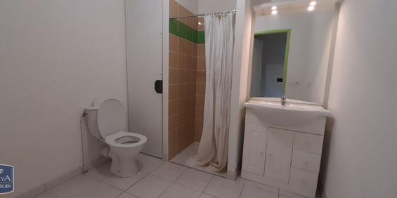 Location Appartement 1 pièce 23m² LIMOGES 87000 - Photo 3