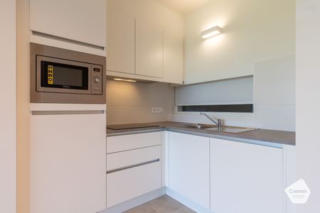 Assistentieflat te huur in Oostduinkerke - Photo 5