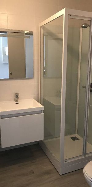 Location Appartement 1 pièce 17m² - Photo 1