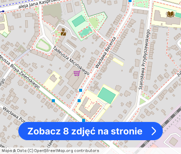 Willowe, 35m2, z tarasem , ogródkiem - Zdjęcie 1