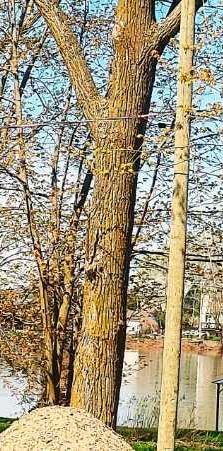 Maison TOUT COMPRIS vue sur le Richelieu/ TRANQUILLE + Très Grand 2260 PC LIBRE DECEMBRE a St Mathias ( près de Chambly et St Hilaire ) A VOIR - Photo 1