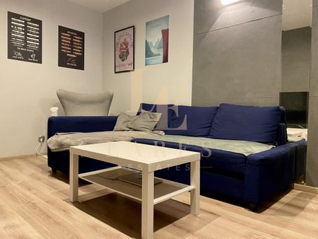 Oddzielna kuchnia|2 pokoje|Zwierzęta akceptowane - Photo 2