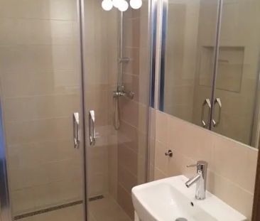 Pronájem rekonstruovaného bytu 1+kk, 30 m - Fotografie 5