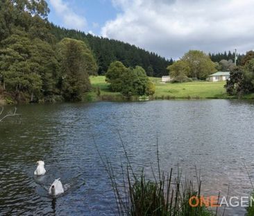 Rural Home in a Tranquil location - Photo 5