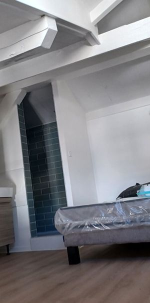 Location Appartement 24.53m² 1 pièce Fort de france - Photo 1