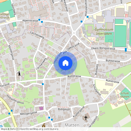 Oelestrasse 8, 3800 Matten b. Interlaken