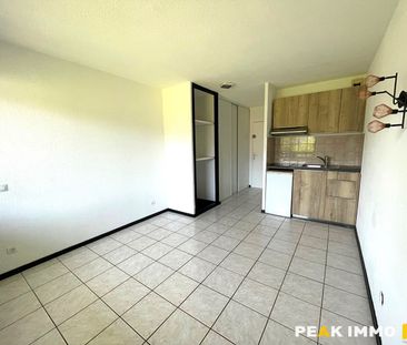 Location Appartement 1 pièce 19m² ONNION 74490 - Photo 3