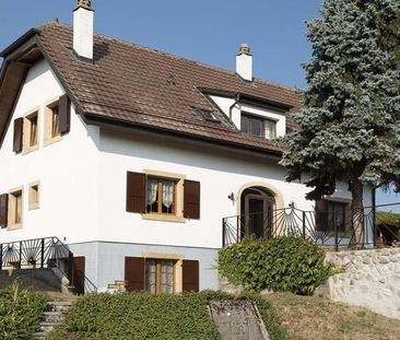 Appartement de 1.5 pièces dans un cadre calme et verdoyant - Photo 2