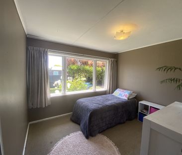 Copeland Road, Akina - Photo 6
