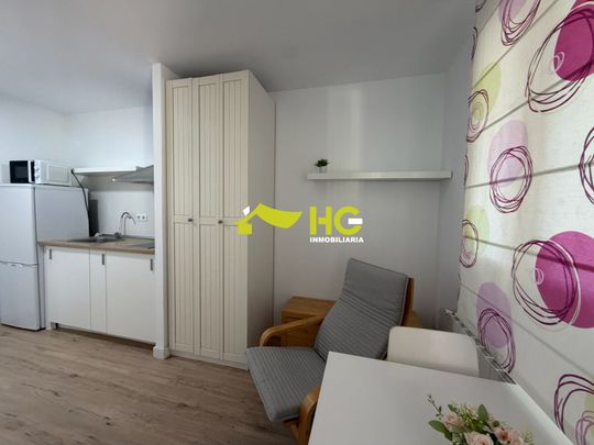 Alquiler Estudio en Urbanización - El Bosque, Villaviciosa De Odón - Foto 1