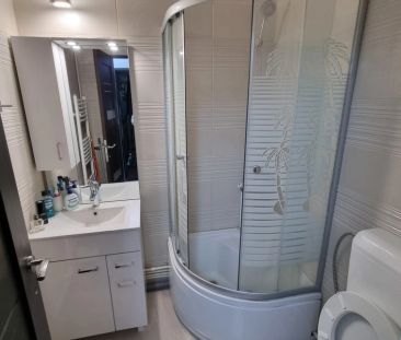Apartament de inchiriat, 1 camera, 23 mp, Pacurari, Moara de Foc, Cod 163485 - Fotografie 5