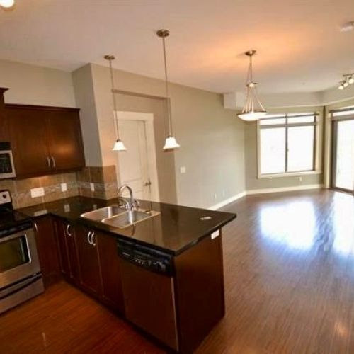 Long Term at ARIA – Two Eagles Golf Course - Photo 1