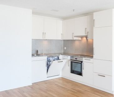 1½-Zimmerwohnung im Parterre mit Waschturm / 37,4 m2 - Photo 4