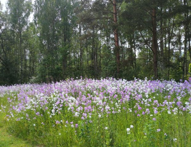 Kanalgatan, Sibbhult - Photo 1