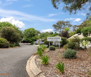 3M Tristania Street, Rivett ACT 2611 - Townhouse For Rent | Domain - Photo 1