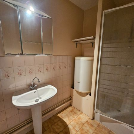 Location Appartement 1 pièce 33m² ROMANS SUR ISERE 26100 - Photo 3