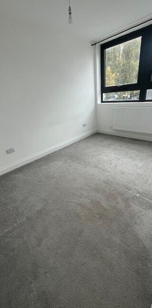 Lovell House - Photo 1