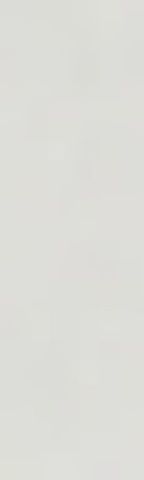 Calle San Eloy, Sevilla, Andalusia 41001 - Photo 2