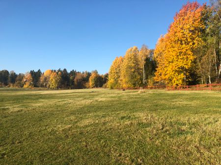 Bondvägen, Vendelsö - Photo 5