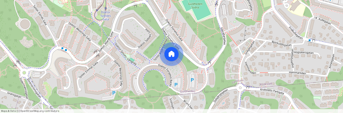 Guldheden, Göteborg, Västra Götaland, Doktor Forselius Backe 17