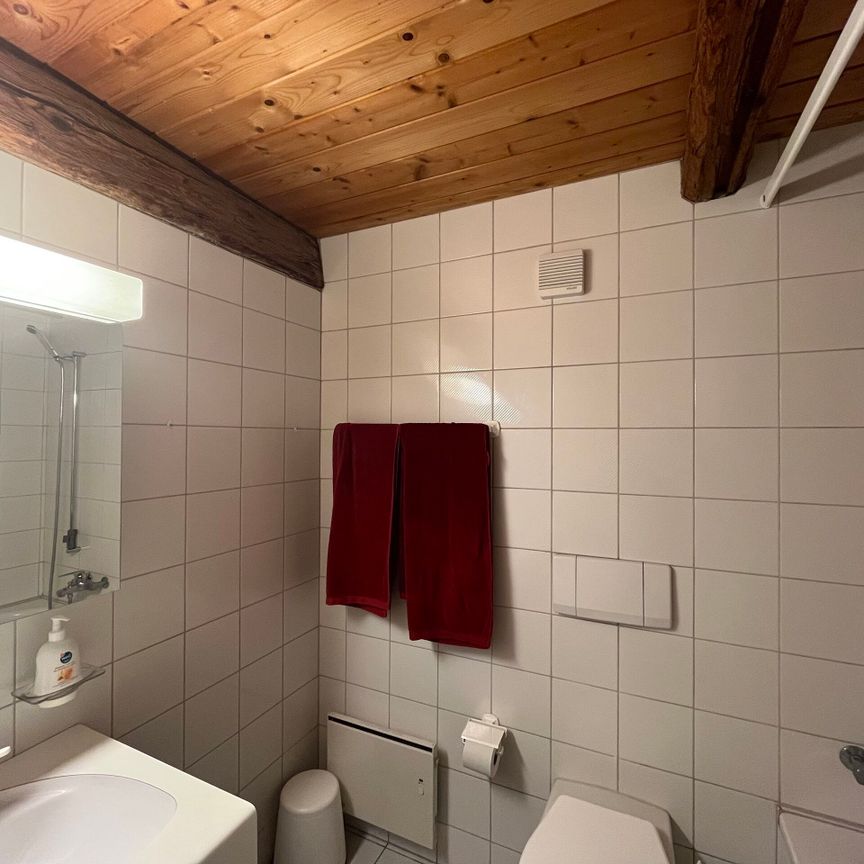 Apartment with a lot of charm - Photo 1