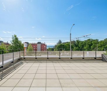 3 Zimmer, 57 m², EG - Foto 2