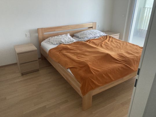ab 01.05.2026 verfügbar: Schöne 2 Zimmer Wohnung im 3. Obergeschoss mit Lift - Photo 1