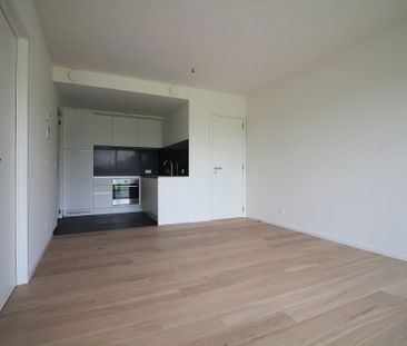 Apartments To Let 1 bedroom directly with the owner - Photo 5