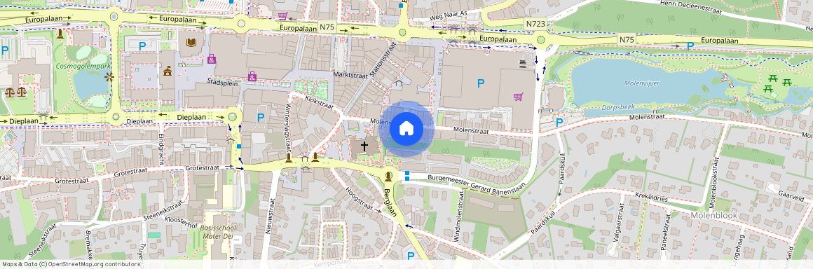 Molenstraat 15/22, 3600 Genk