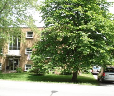 Newly renovated large bright 2 bedroom unit in a very quiet residen... - Photo 1