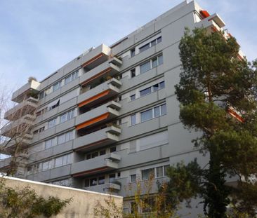 schöne 2-Zimmer-Wohnung nähe Burgfelderplatz zu vermieten - Photo 3