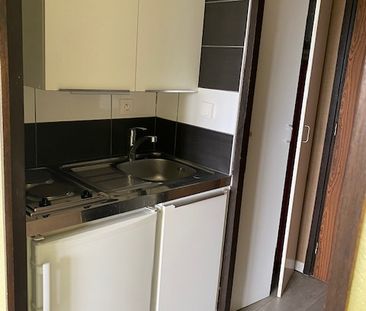 Location Appartement 1 pièce 17m² - Photo 4