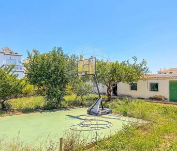 Faro, Faro 8900-067 - Photo 6