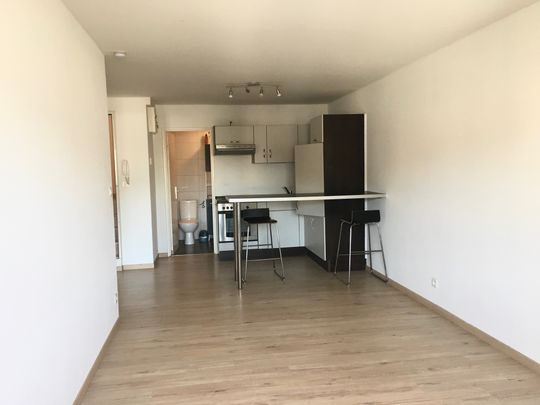 Location Appartement RANSPACH LE BAS 580 € CC - Photo 1
