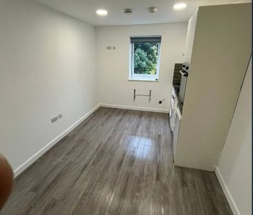 Studio Flat, Davidson Road, CR0 - Photo 2