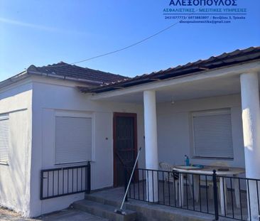 Μονοκατοικία για ενοικίαση Φανερωμένη (Πελλιναίο) - Photo 6