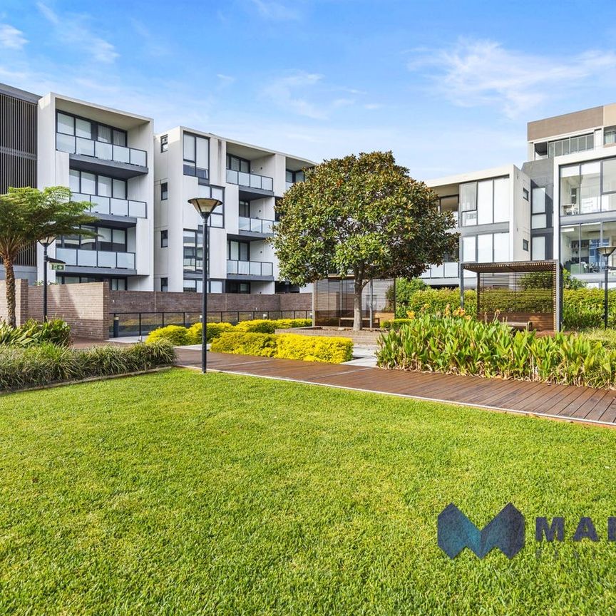 857/2C Defries Ave, Zetland, NSW 2017 - Photo 1