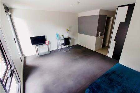 Large Studio - Photo 3