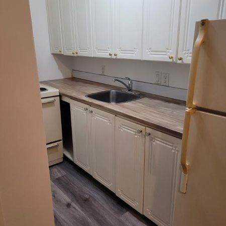 Beau logement petit 3 1/2 sur le bord de la mer à Sainte Anne des Monts \ Chauffé et éclairé ainsi que électros inclus - Photo 3