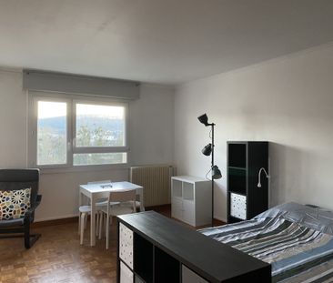 Appartement 1 Pièce MEUBLÉ + parking sous - sol - Photo 6