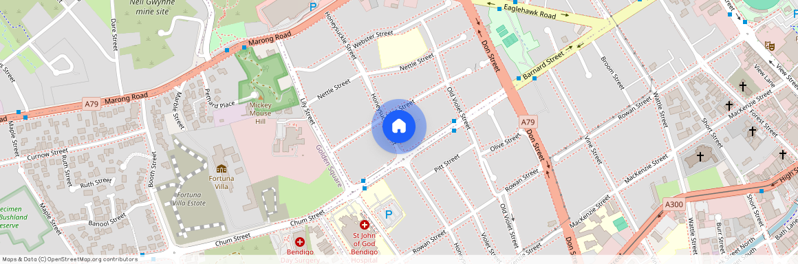 2/60a Honeysuckle St, Vic 3550, Bendigo