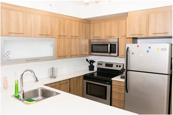 Av. de l'Hôtel-de-Ville, H2X 0B2, Montréal - Photo 1