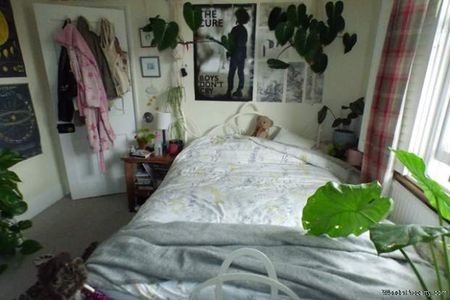 3 bedroom property to rent in Exeter - Photo 3