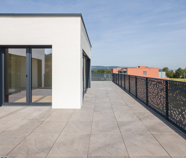Moderne, grosszügige und helle Attikawohnung - Photo 3