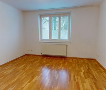 Oelweingasse/Braunhirschenpark - Erdgeschoßwohnung in guter Hausstr... - Foto 1