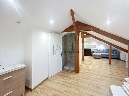 Location Appartement 1 pièce 20m² - Photo 2