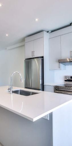 3 CH - 1 SDB - Montréal - $2,500 /mo - Photo 1