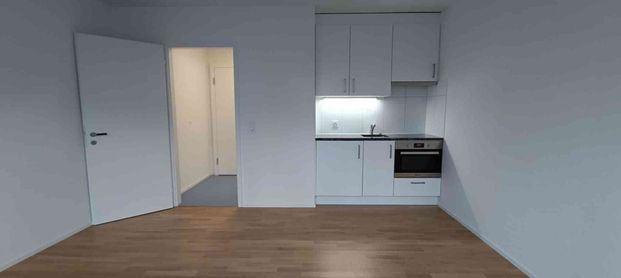 1 Zimmer, 28 m², EG - Foto 1