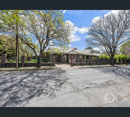17 Olive Road, Stepney, SA 5069 - Photo 4